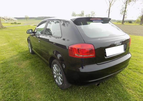 Audi A3 cena 20900 przebieg: 154000, rok produkcji 2009 z Szprotawa małe 497